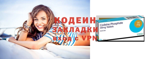 ГАЛЛЮЦИНОГЕННЫЕ ГРИБЫ Инсар