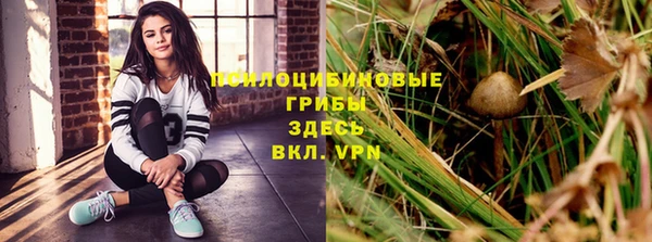 прущая мука Ладушкин
