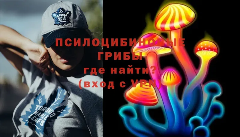 цена наркотик  Тбилисская  Галлюциногенные грибы прущие грибы 